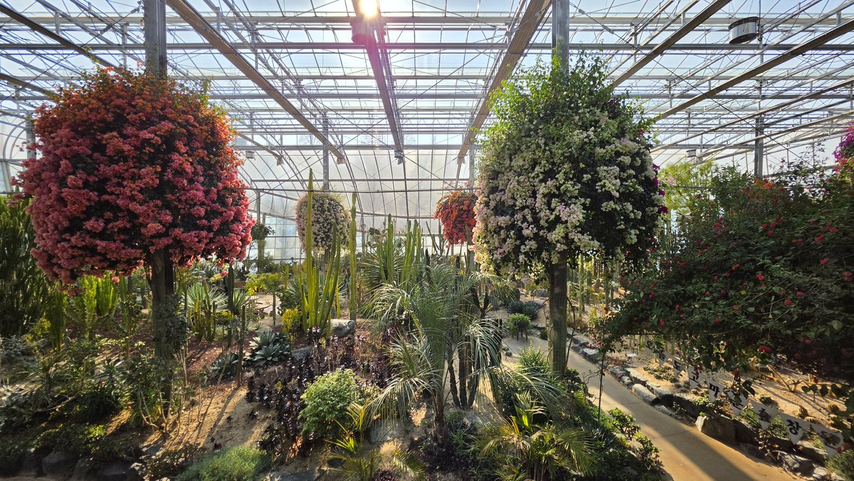 감별RuleOut tweet media