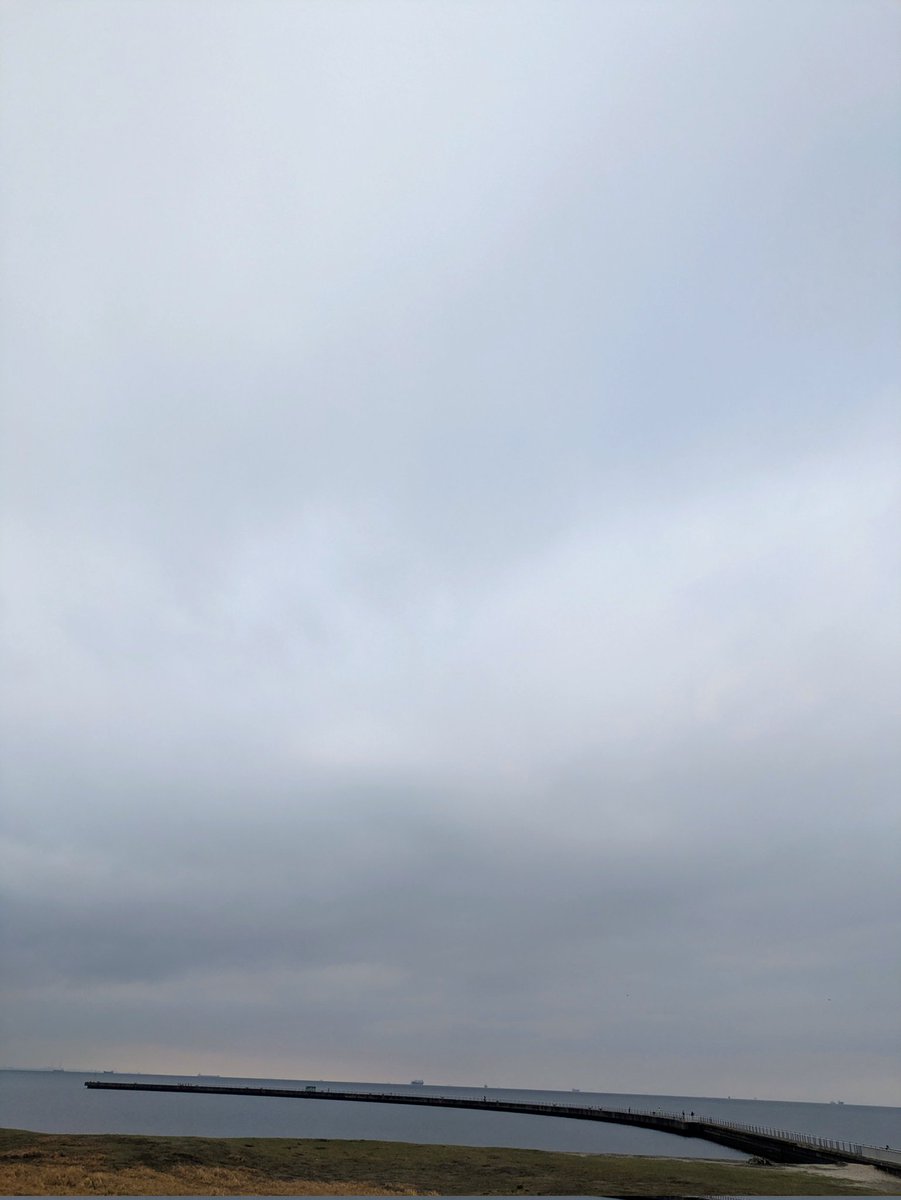 kenzysince1972's tweet image. 曇天模様の空の下、海まで走って来ましたよ✨
今年はフルマラソン走ると決めたので頑張って練習しよう！
#ランニング
#run
#tokyobay
