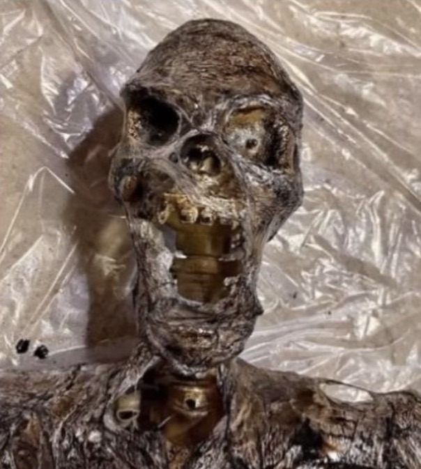 Paladin Posting tweet media