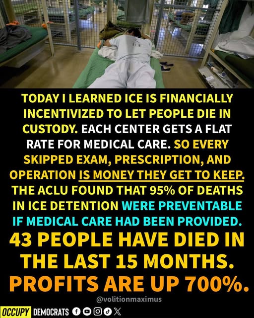 Poppy 💫🇦🇺☮🍅🥒🥕🥭🍊🍋 tweet media