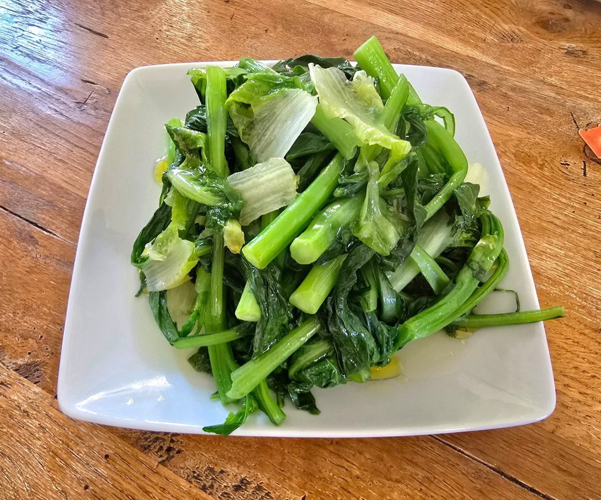 nova castanares tweet media