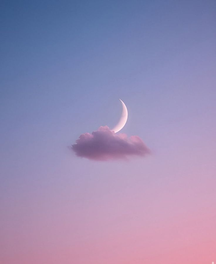 Serene 🌼 tweet media