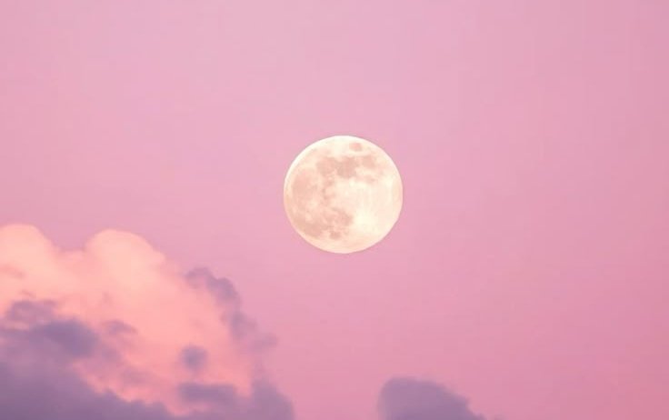 Serene 🌼 tweet media