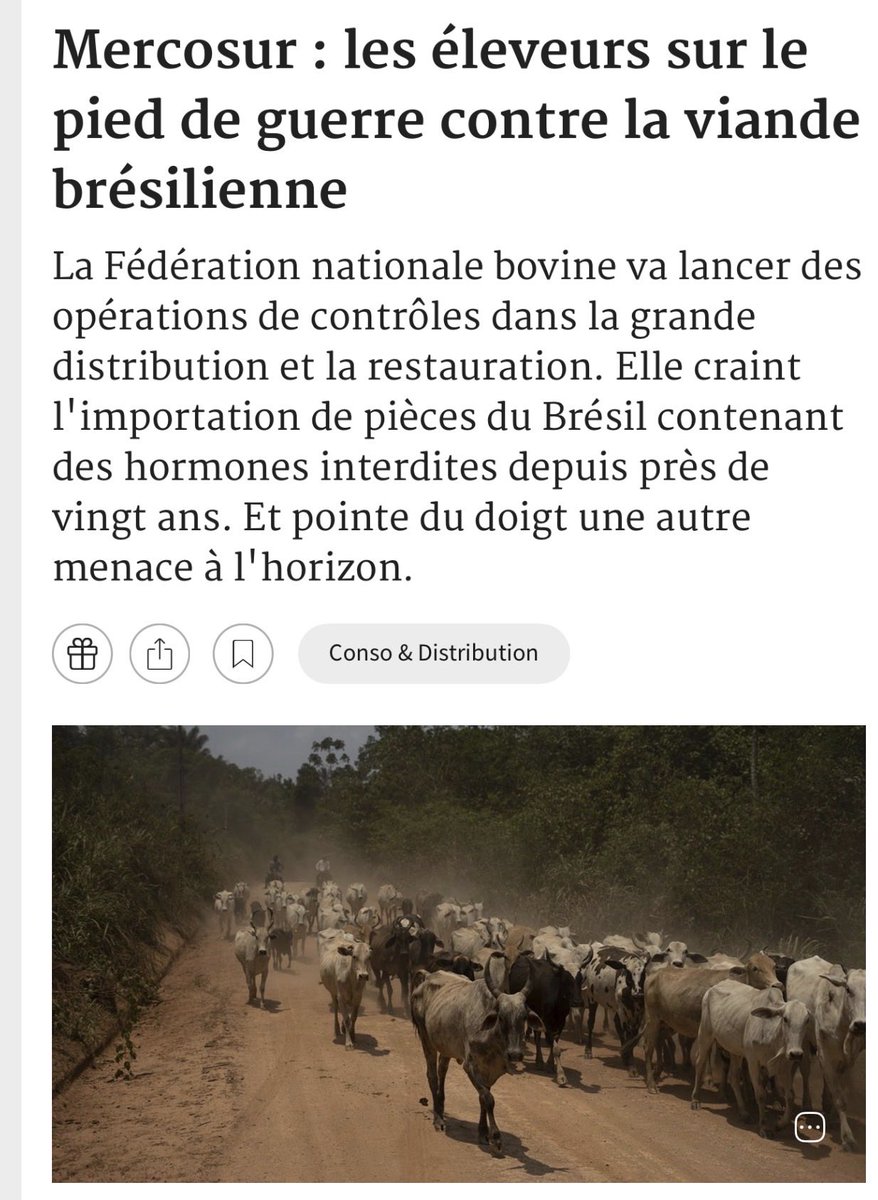 Thomas Bégon tweet media