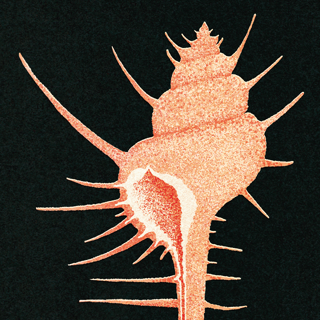 STEREO RECORDS tweet media