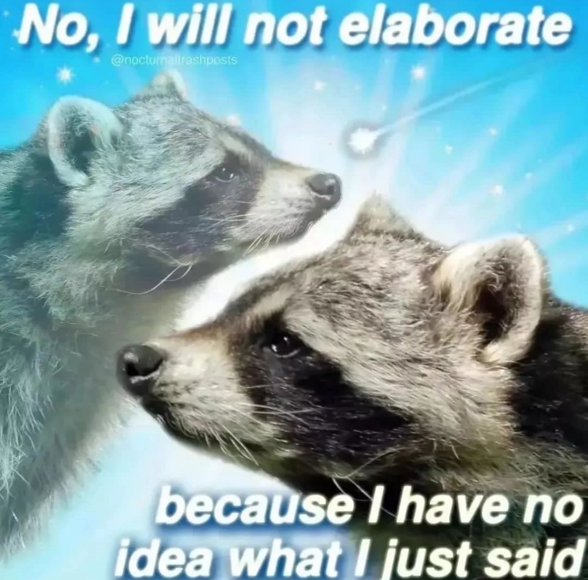 raccoon aesthetic. tweet media