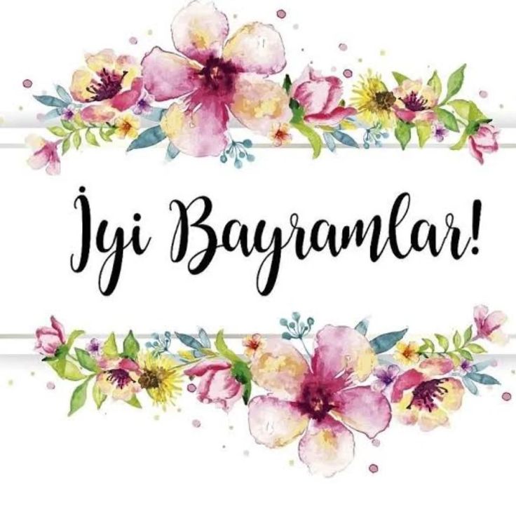 ☆ŞÎዪል☆ tweet media