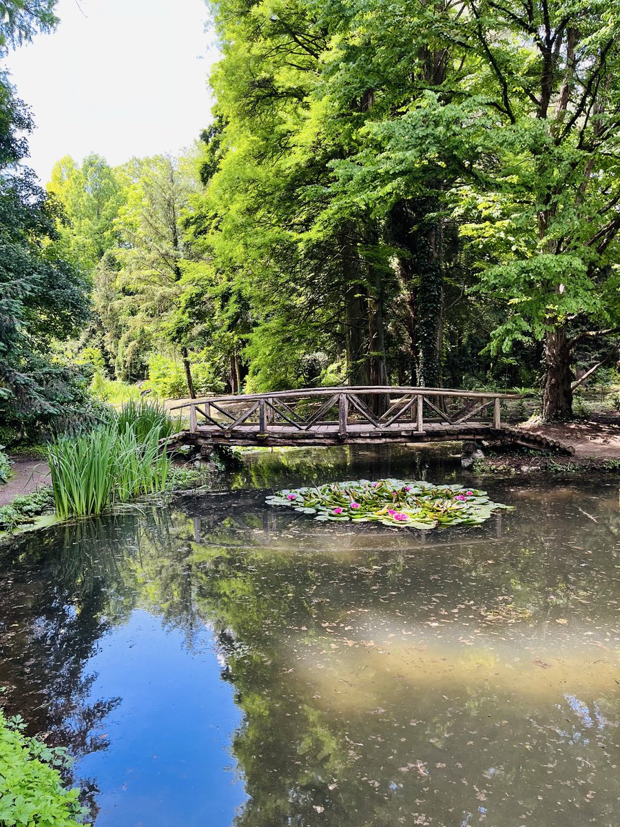 Sebi | Crypto Analyst tweet media