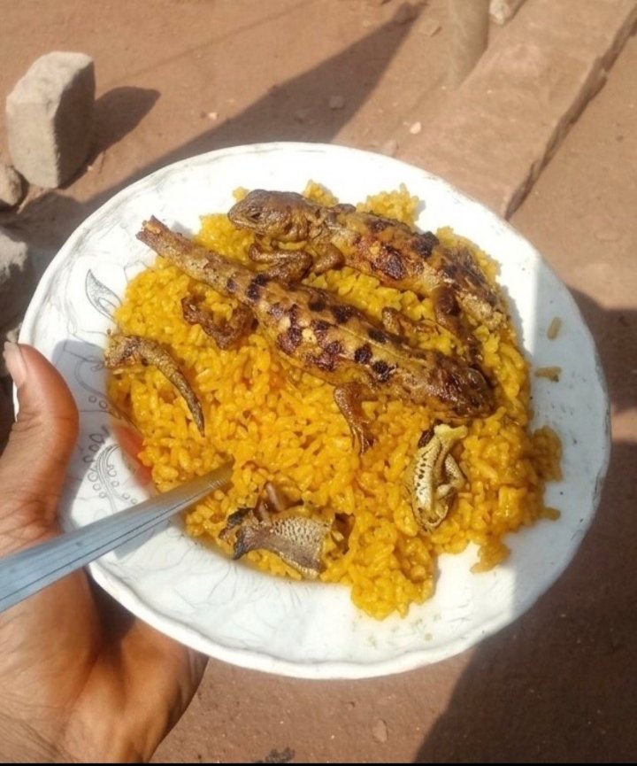 Patchris tweet media