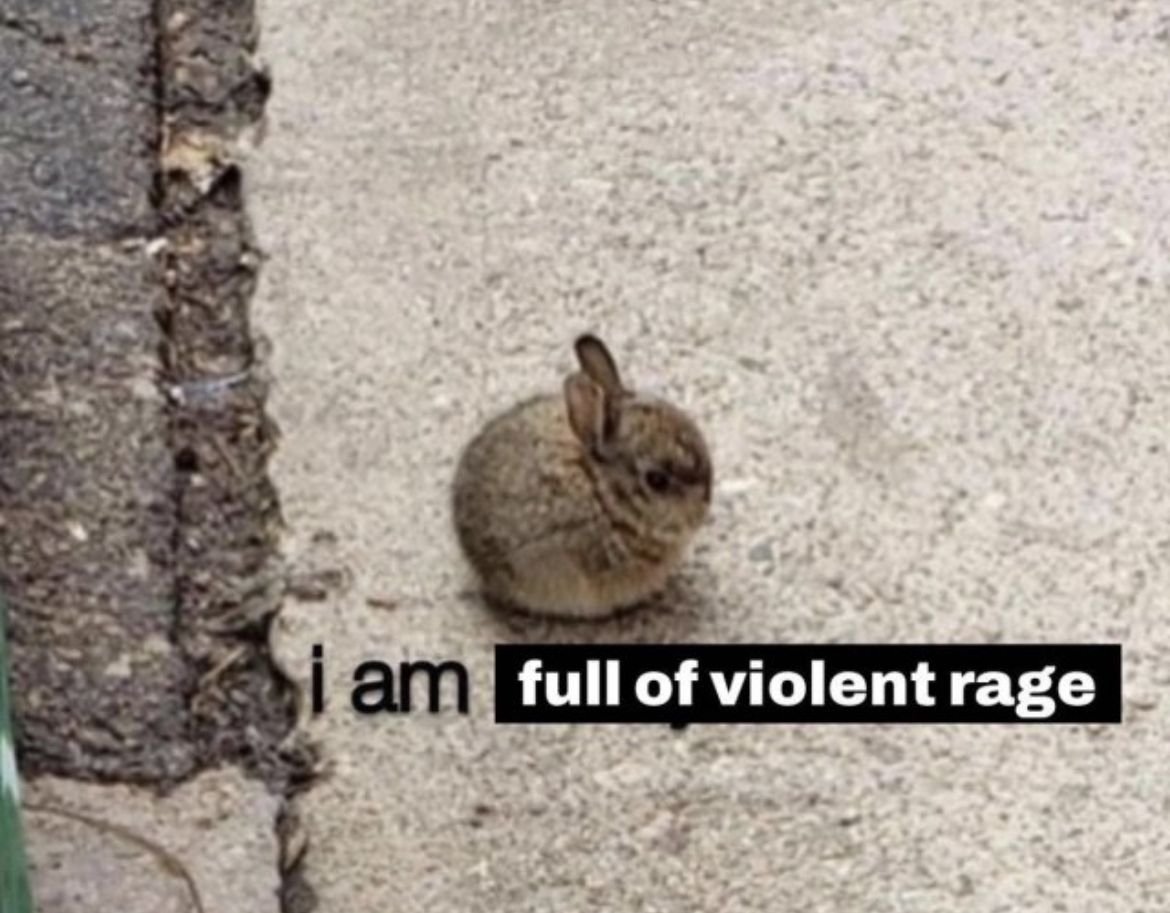 🐾 》Bubble tweet media