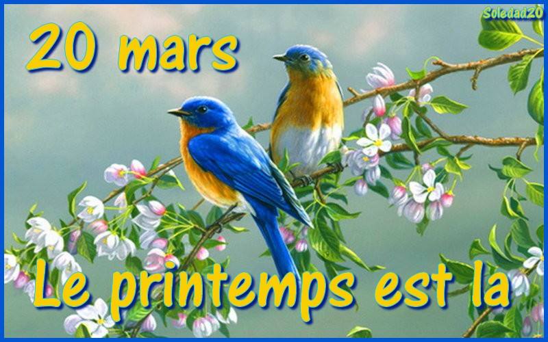 calao Guillaume tweet media