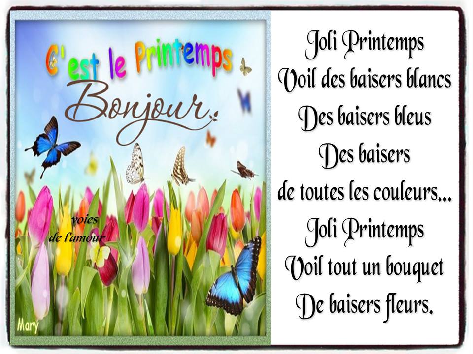 calao Guillaume tweet media