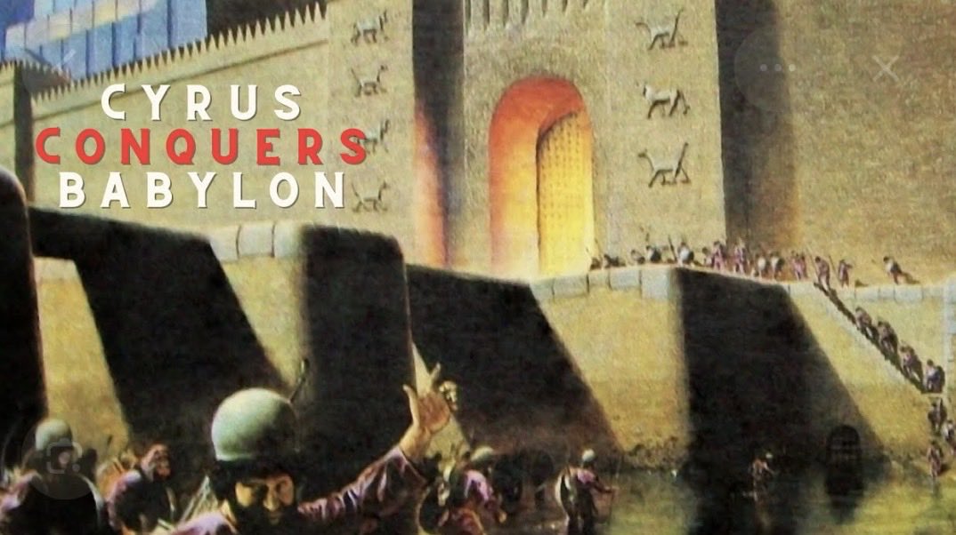 Elan Carr tweet media