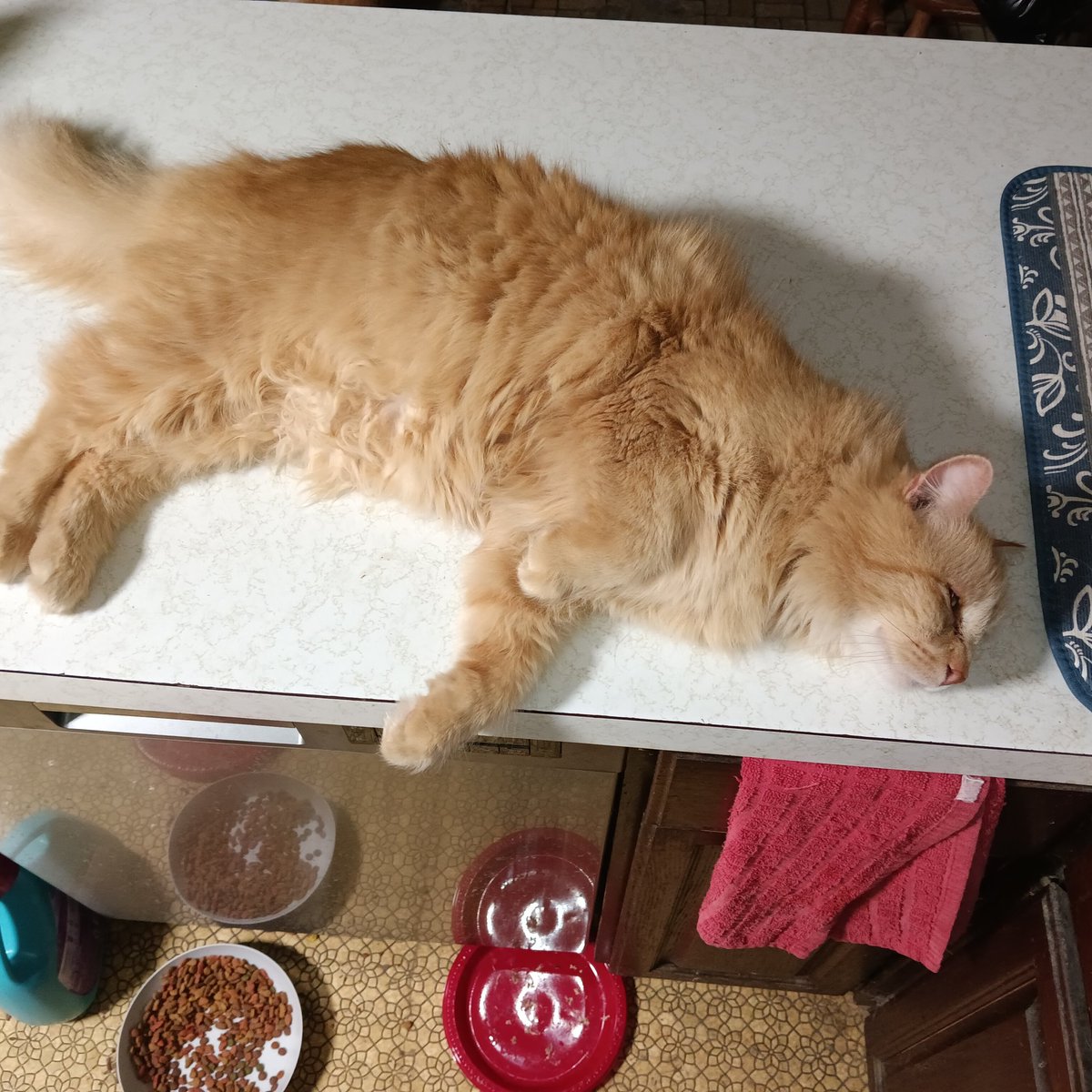 torch327 tweet media