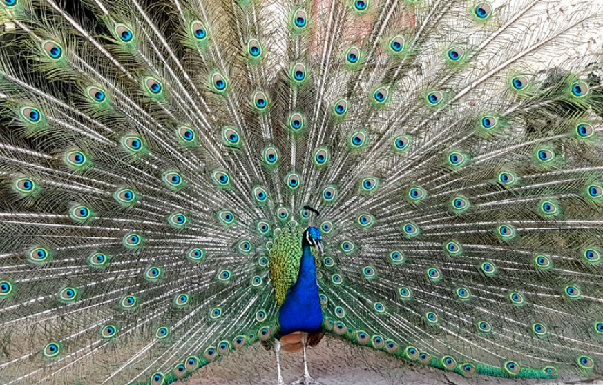 てう@ボードゲーム用|ボドゲブログやってます| tweet media