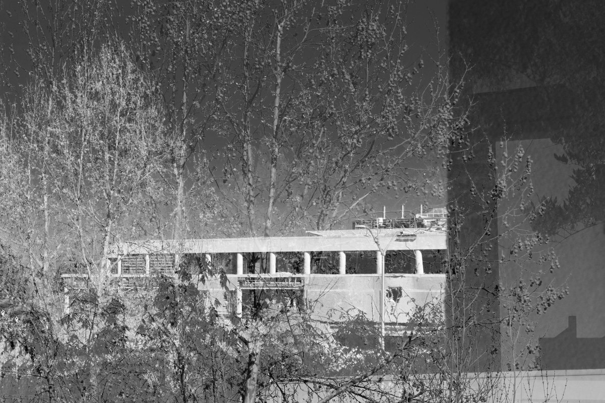 Swati Chakraborty | photosbyswati.eth tweet media