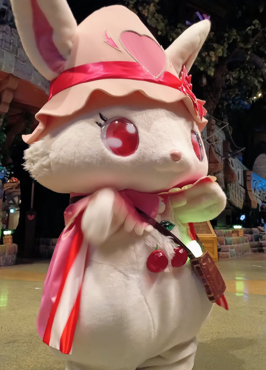 今日はここから(* ´ v｀*)
かわいいやんか😳