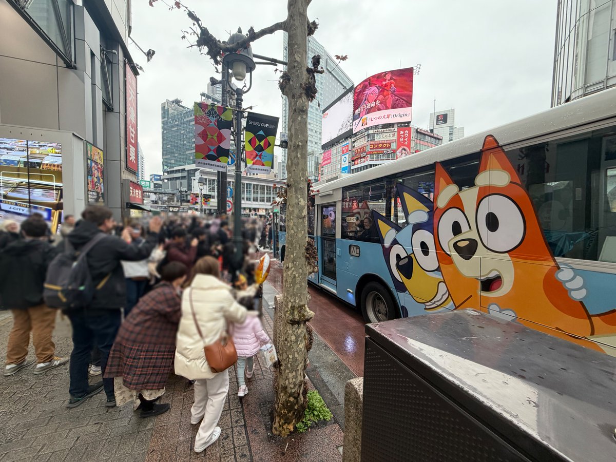 『ブルーイ』公式 tweet media