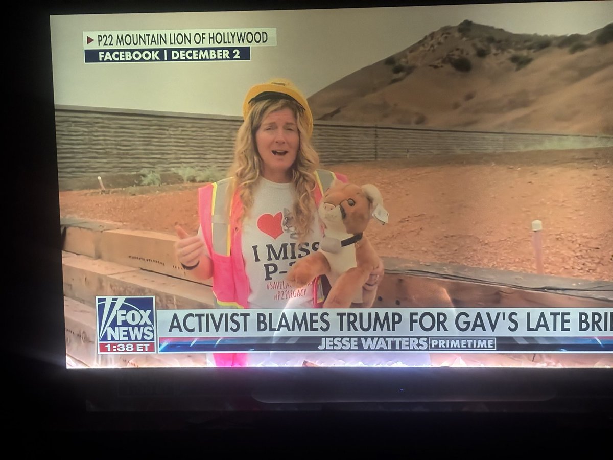 DEI / CRT HASTY GENERALIZATION🇺🇸 FALLACIES tweet media