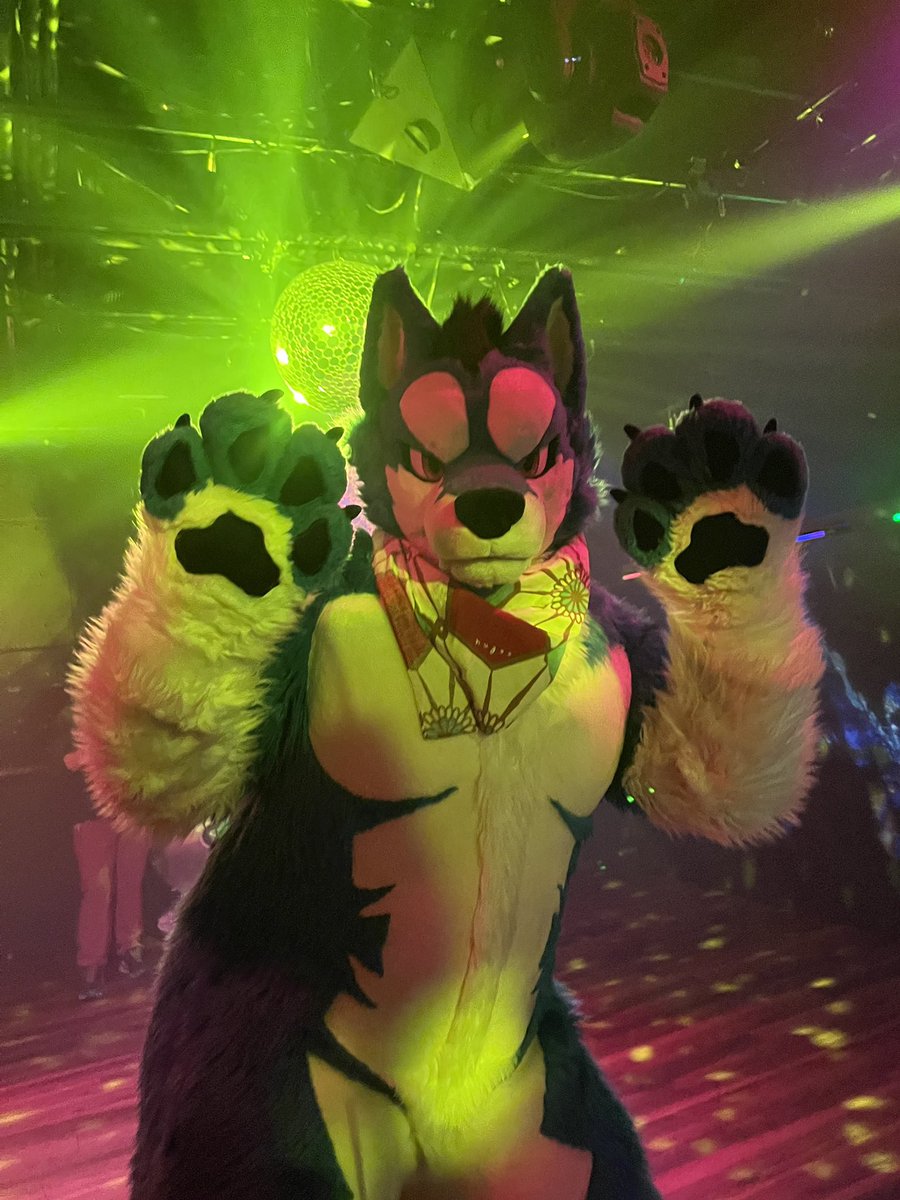 藻尾郎 tweet media