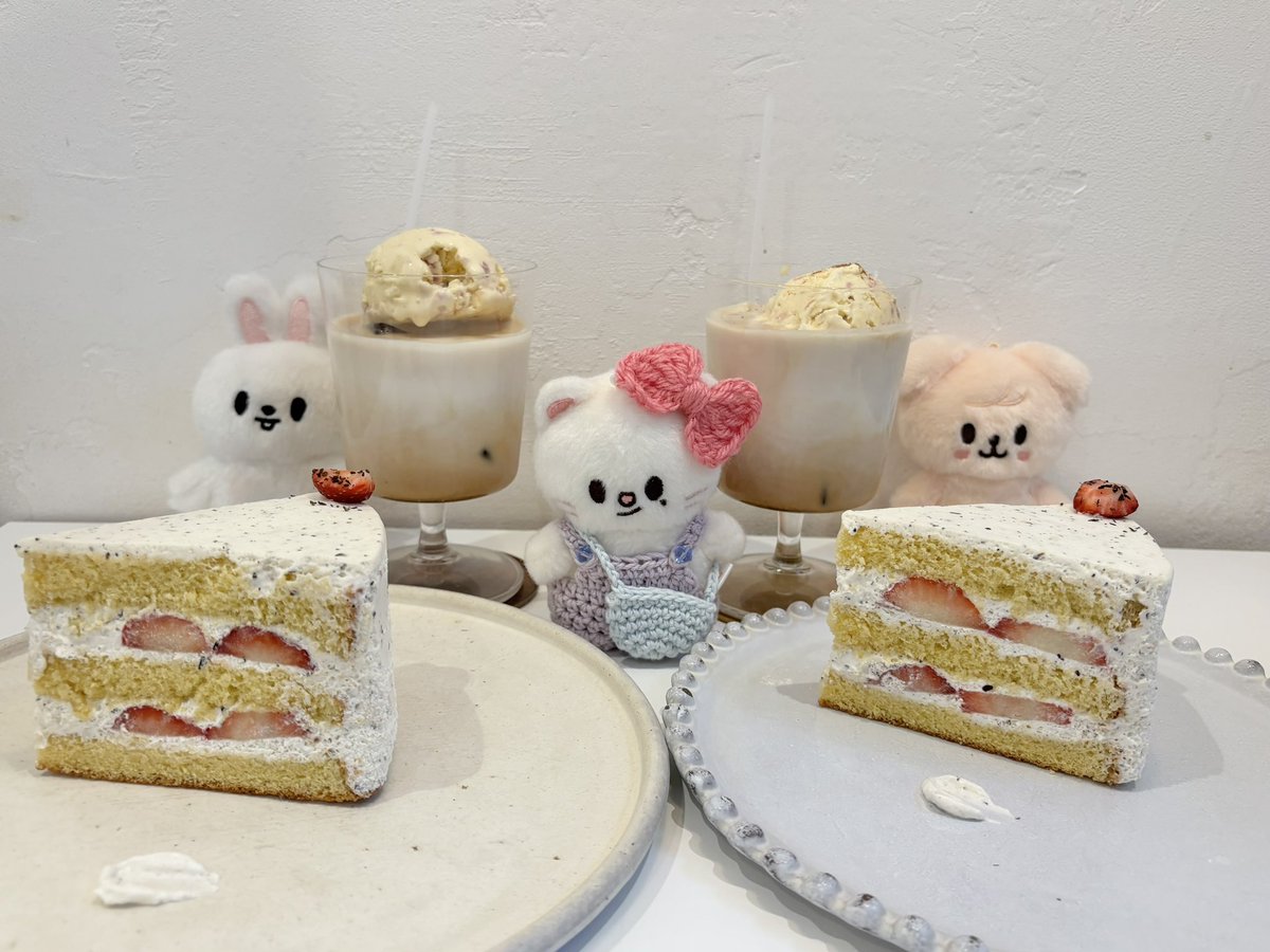 こなびっと🐰🐶🤟★ tweet media