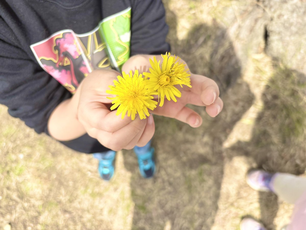 こなびっと🐰🐶🤟★ tweet media