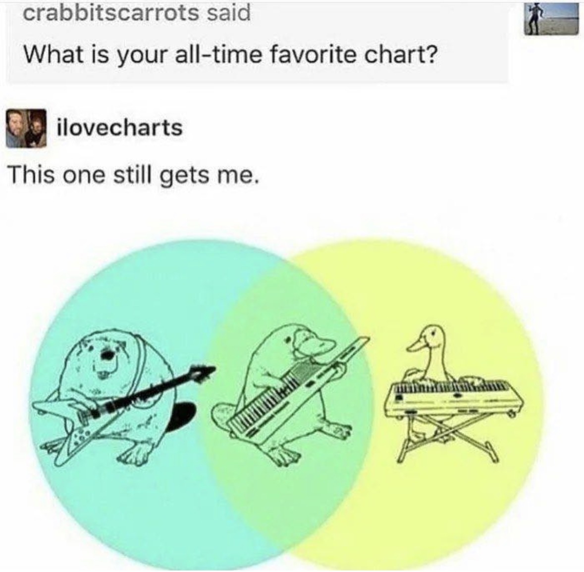 Respectful Memes (@respectfulmemes) on Twitter photo 