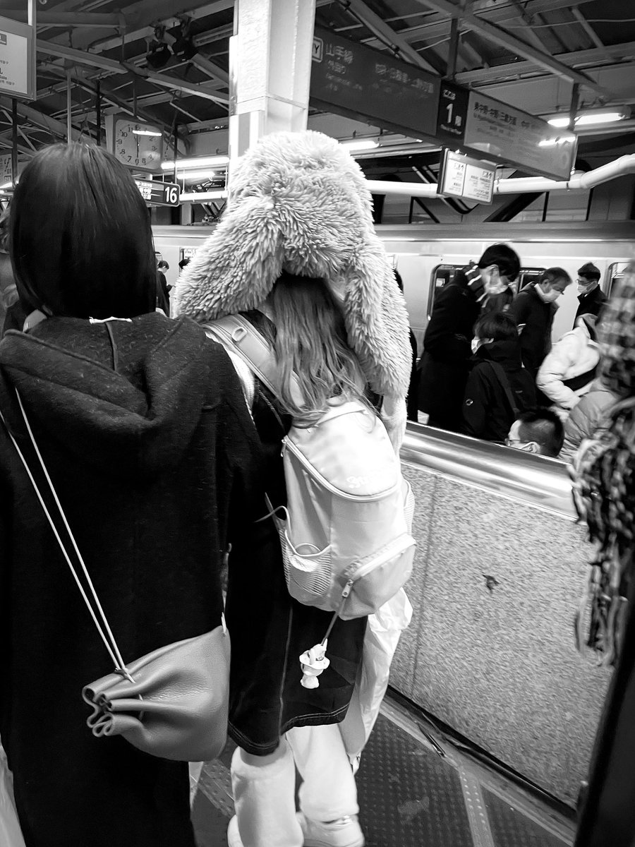 I'm Goro。 tweet media