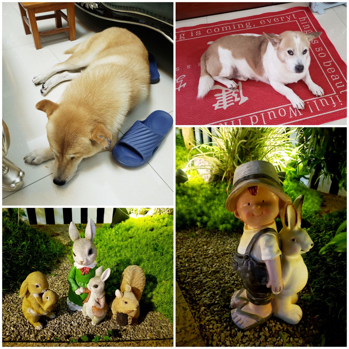 Rhi Vaughan tweet media