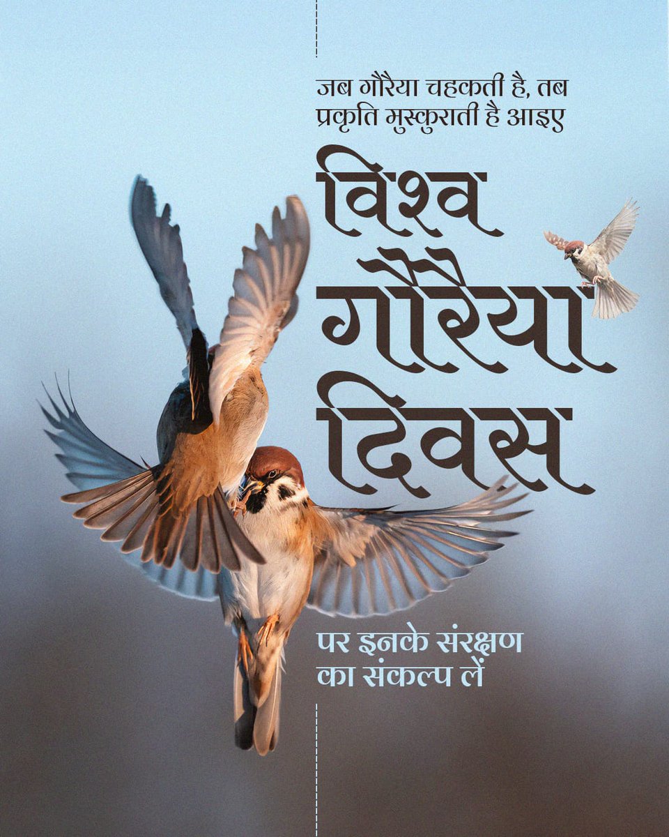 Bemetara tweet media