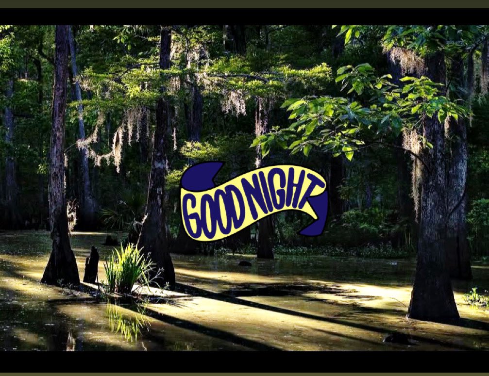 ⚜️JERRI⚜️ tweet media