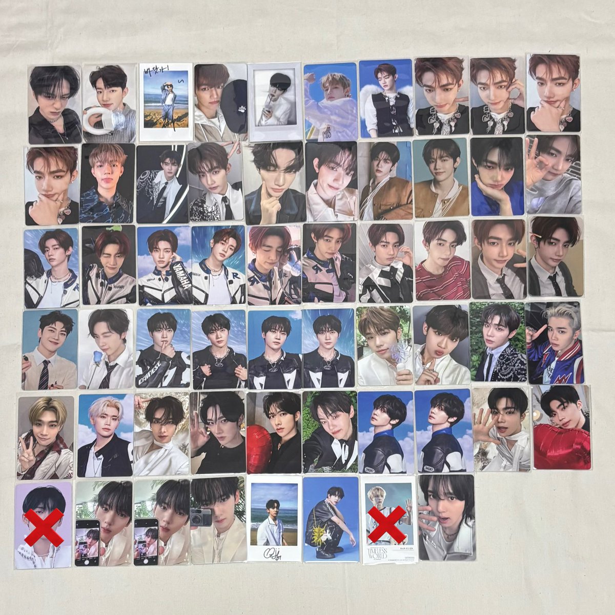 🦋🍓🐹 tweet media