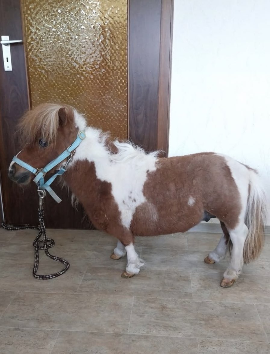 folkative tweet media