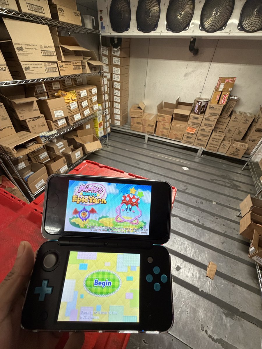 Xaurk 🦇 tweet media