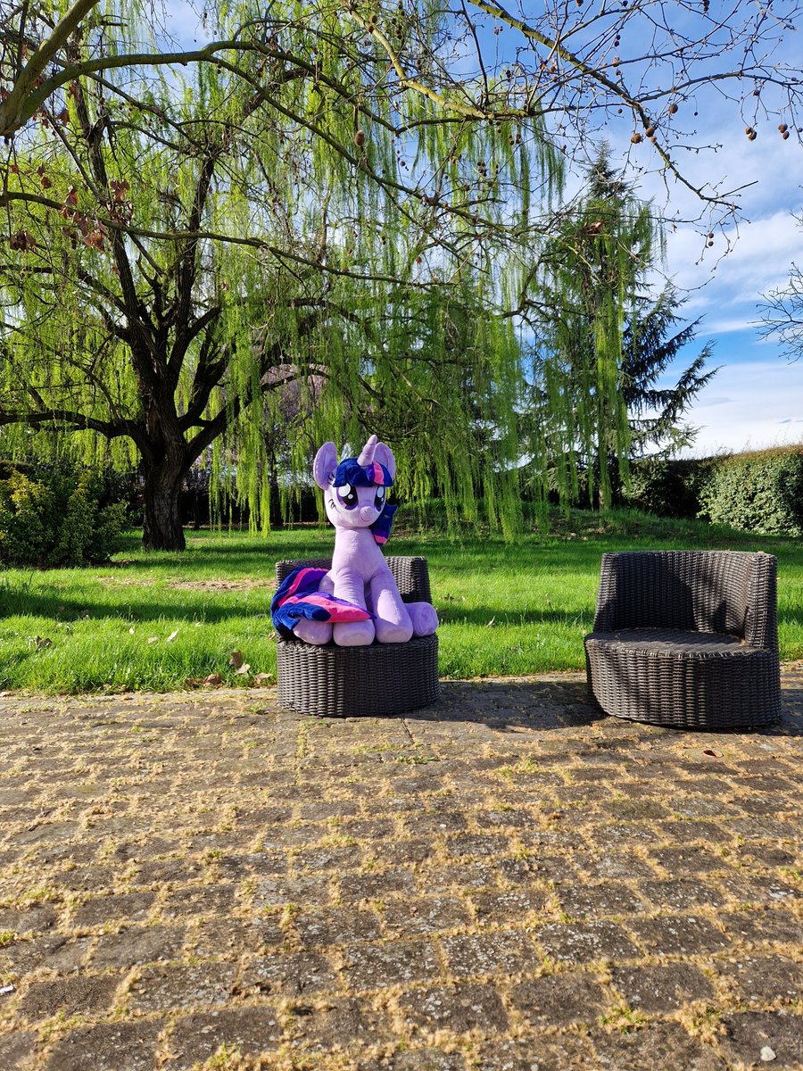 Amethyst Hollowheart tweet media