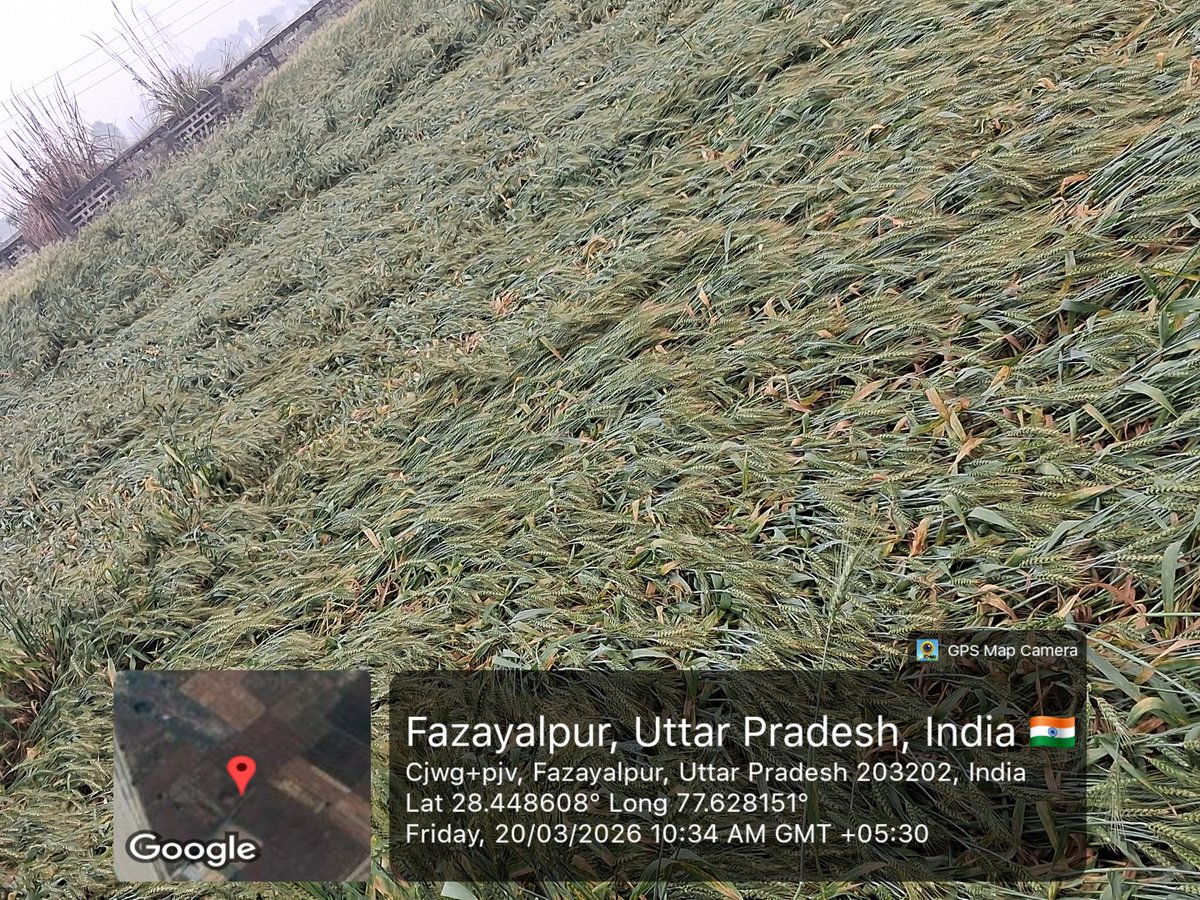 Prof. Shekhar Gurjar🇮🇳 tweet media