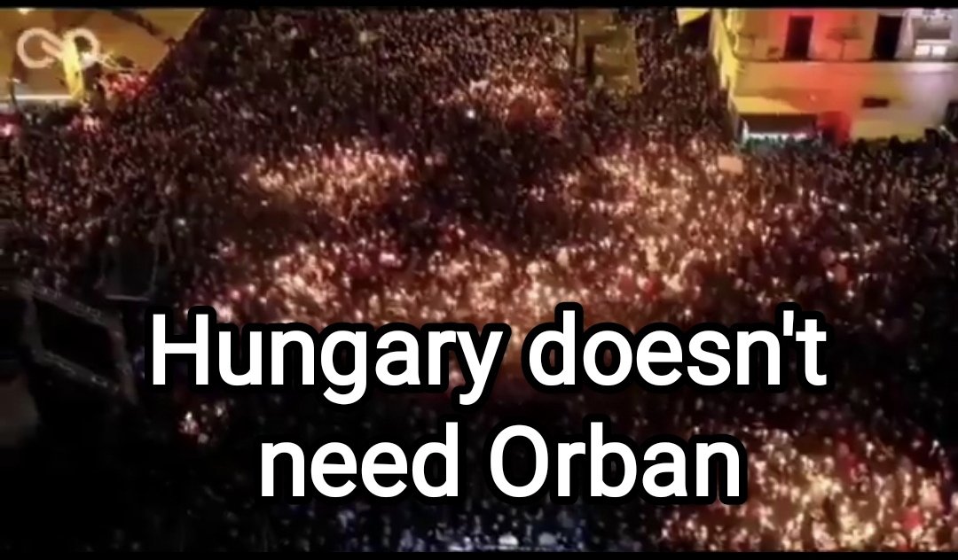 Plotnik Fil tweet media