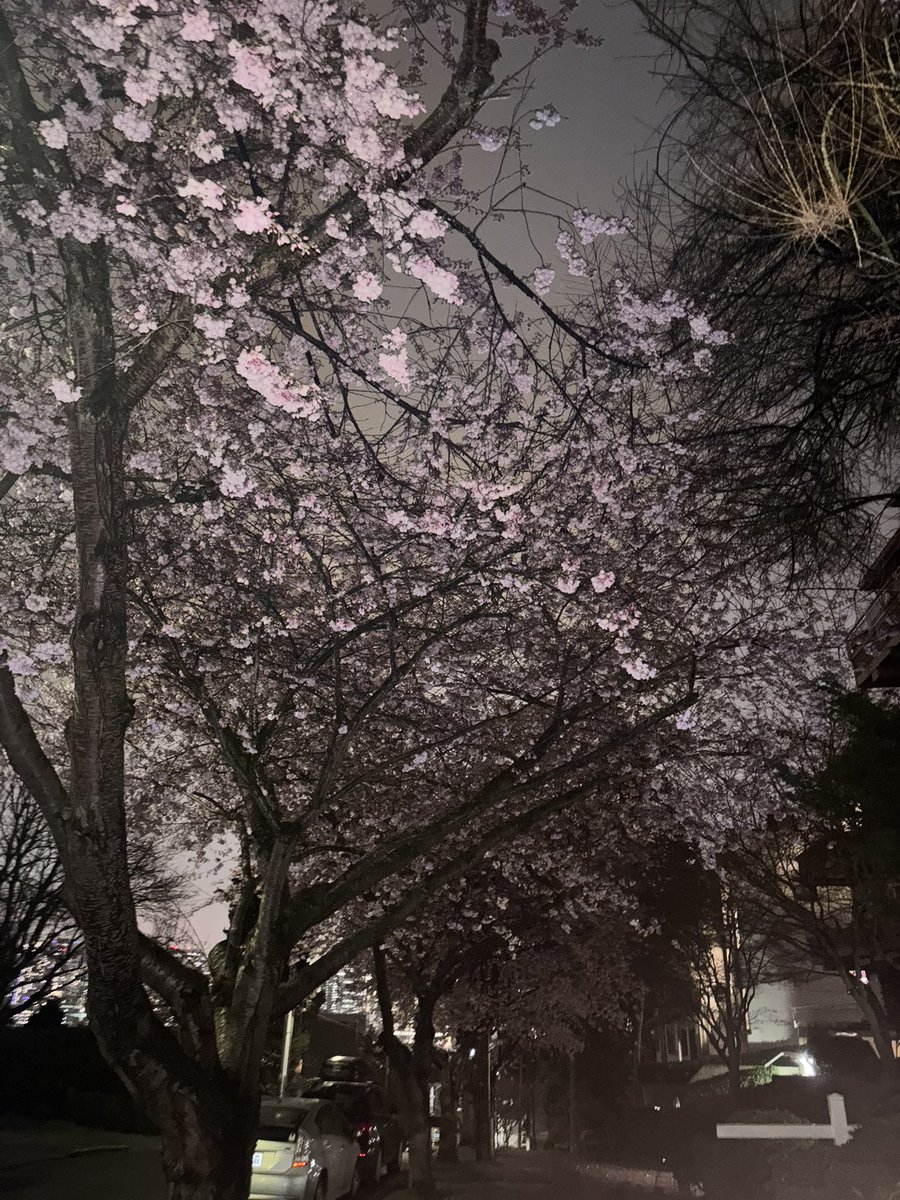 Horned Sphere tweet media