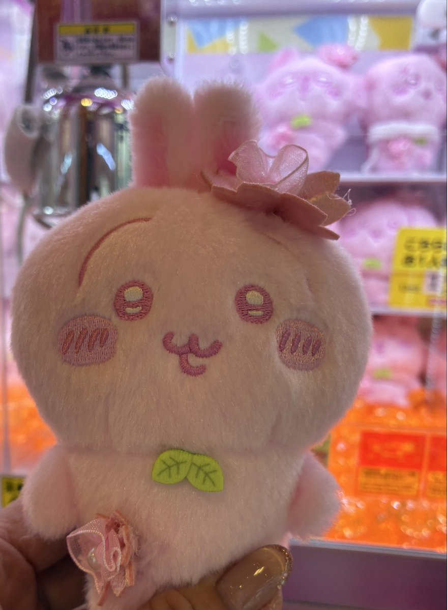 フィン tweet media