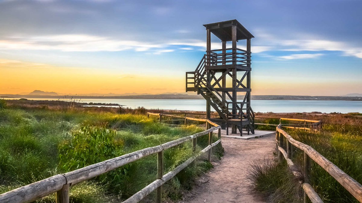 Michael Andreuzza tweet media