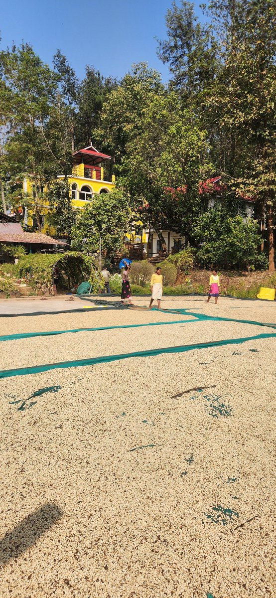 pritish choudhury tweet media