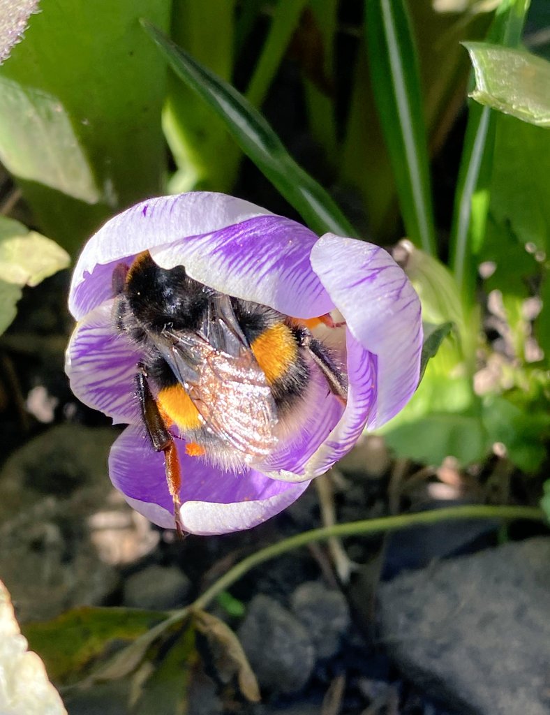 webcat ⚪🔬 tweet media