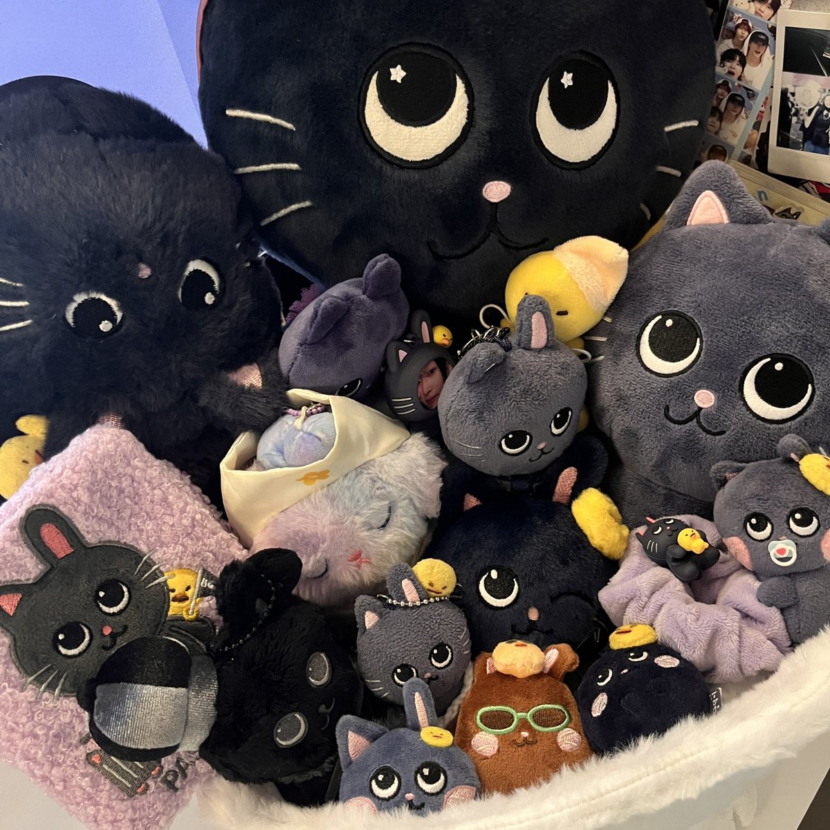 My tiny piece of happiness <3