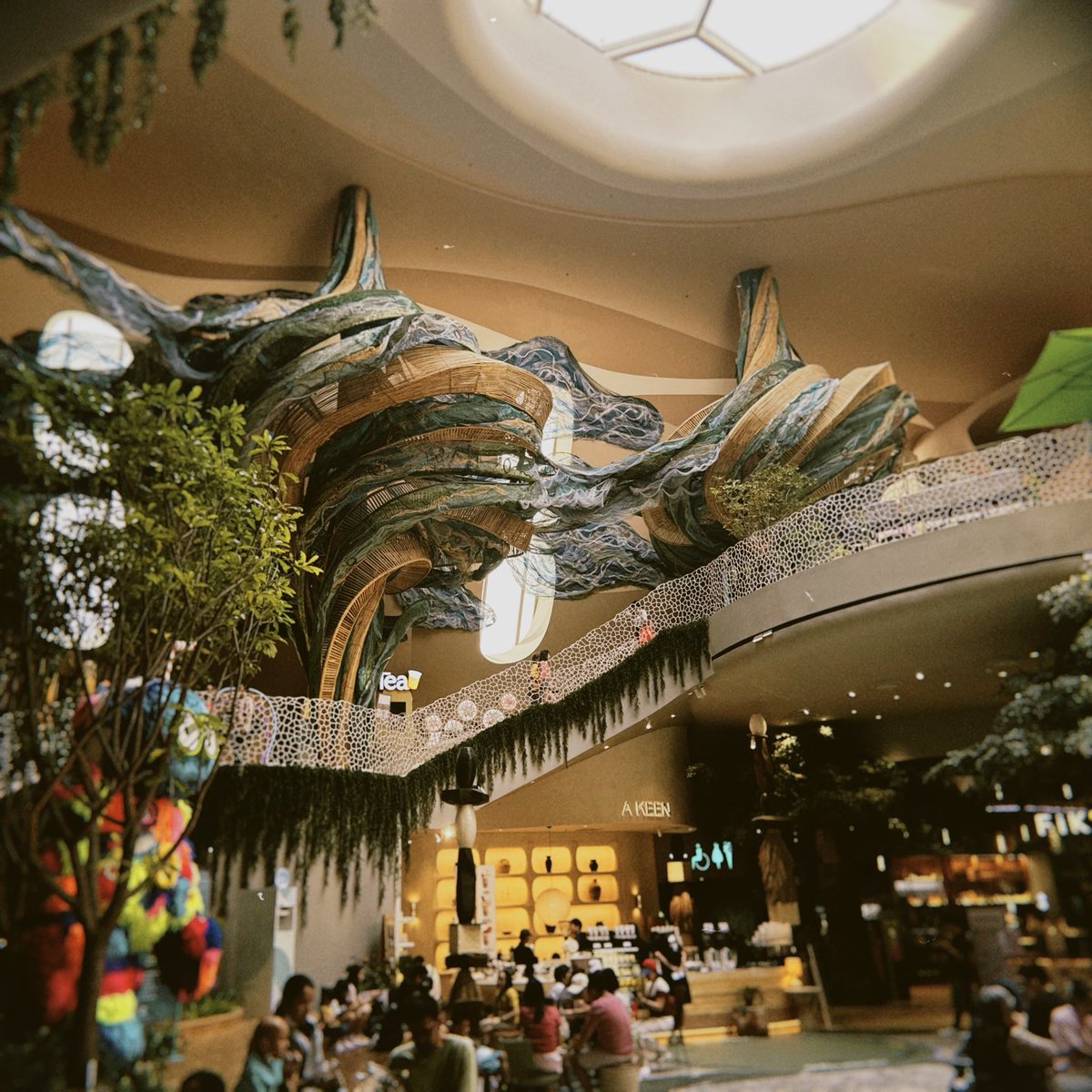 trista arugula 🌿 tweet media