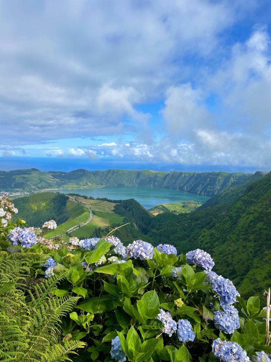 vistaaura tweet media