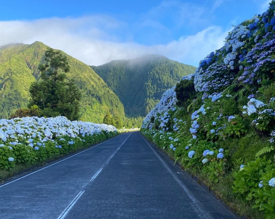 vistaaura tweet media