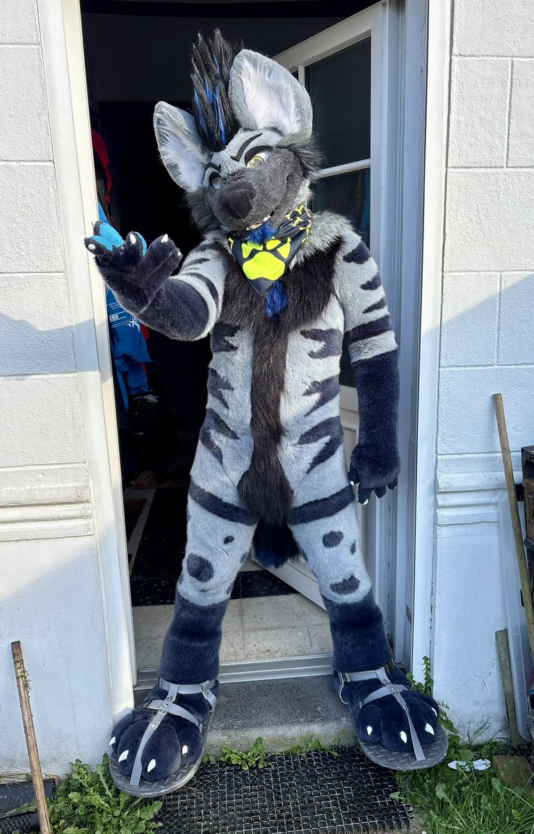 Szürky Farkas @NFC tweet media