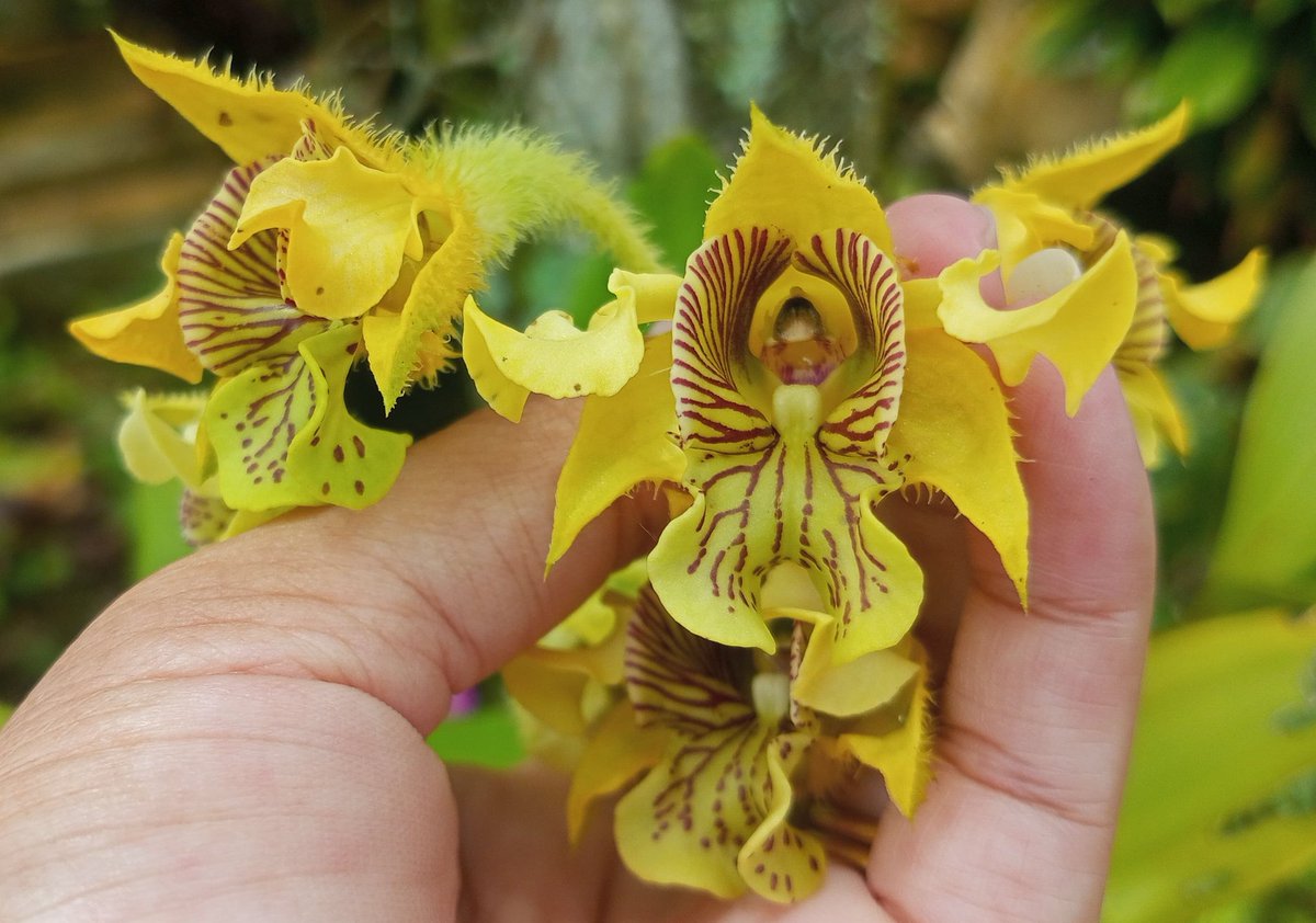 Artha💕 tweet media