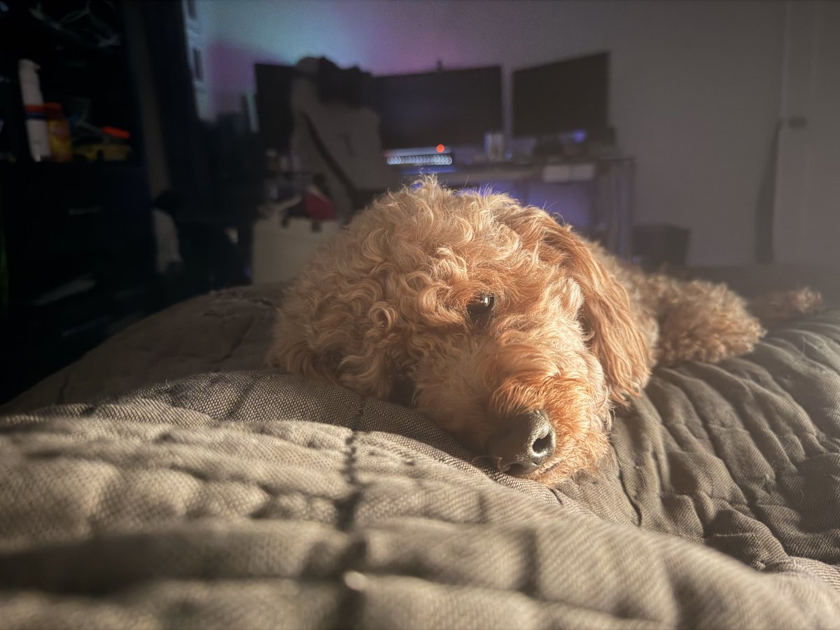 Max Weinbach tweet media