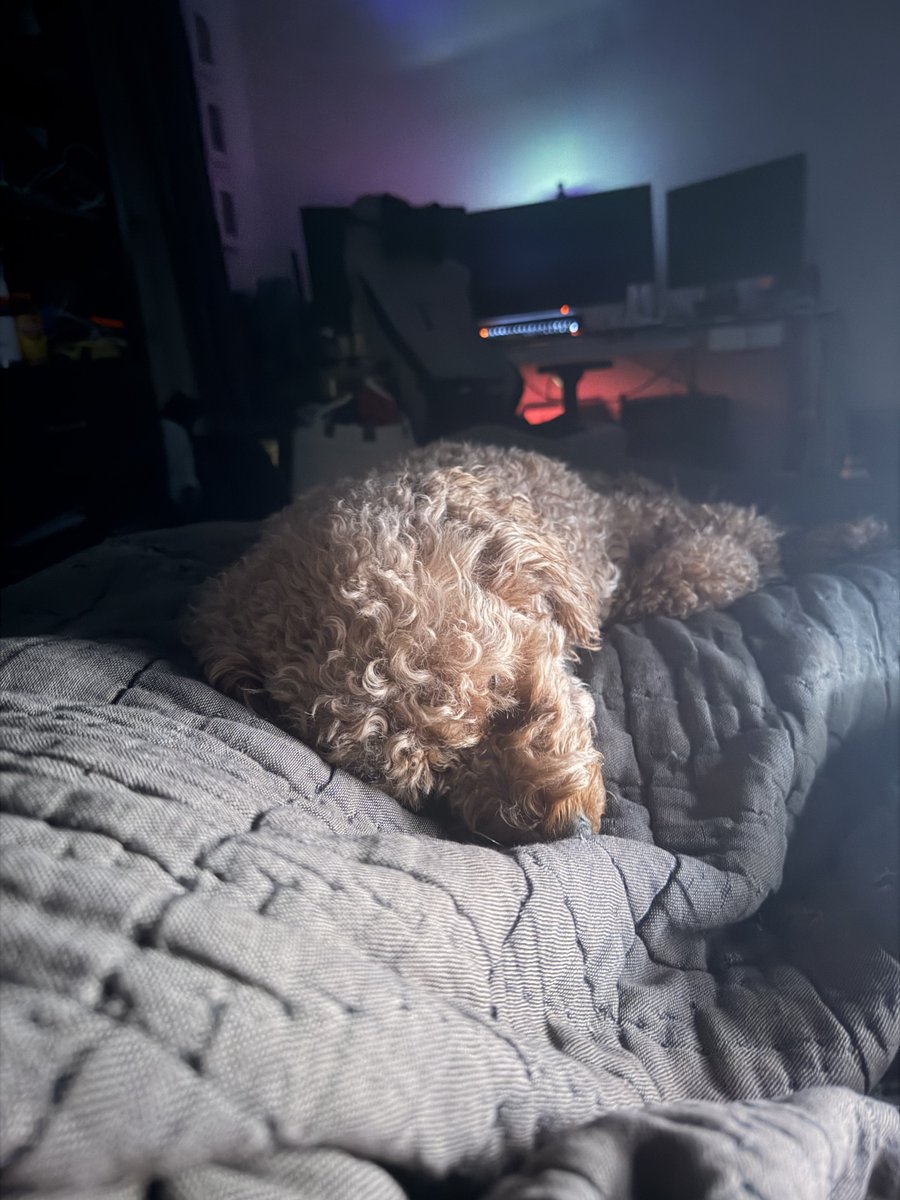 Max Weinbach tweet media